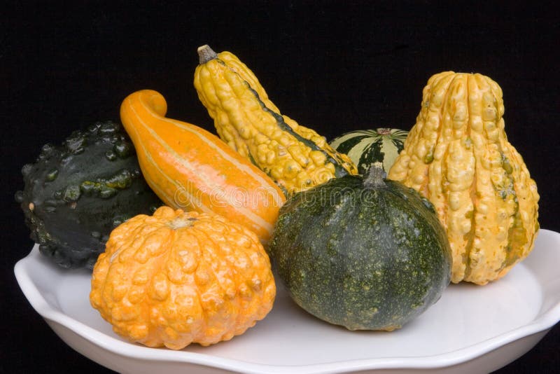 1,356 Hard Squash Stock Photos Free & RoyaltyFree Stock Photos from