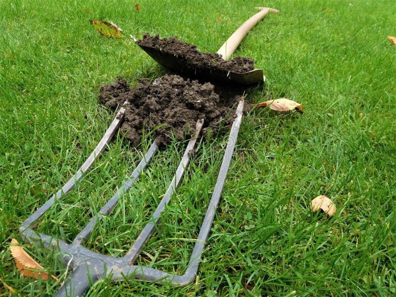 The Hard-working on Garden with My Friend Pitch Fork. Stock Photo ...