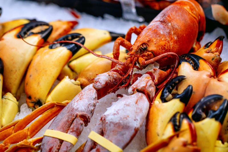 Hardshell Seafood on Ice stock photos