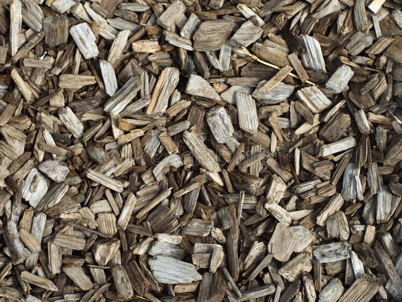 Hardwood bark mulch stock photo. Image of twig, gardening 60265404