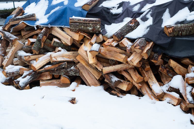 Hardwood Firewood Price and Demand Stock Photo Image of industry
