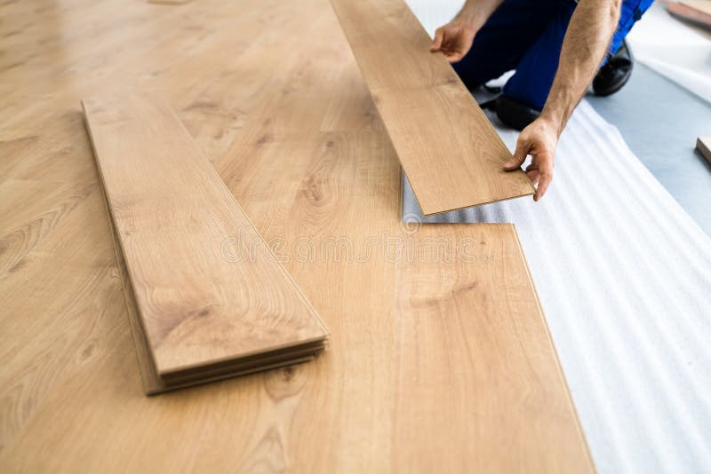 Hardwood Floor Renovation stock photo. Image of profession 213592484
