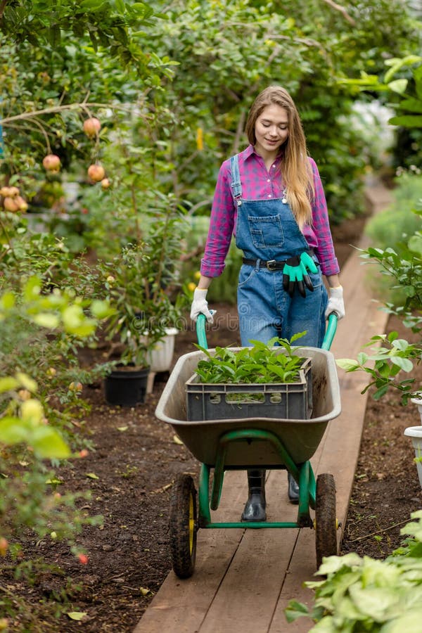 Hardworking young blond woman pushing a cart in the greenhouse