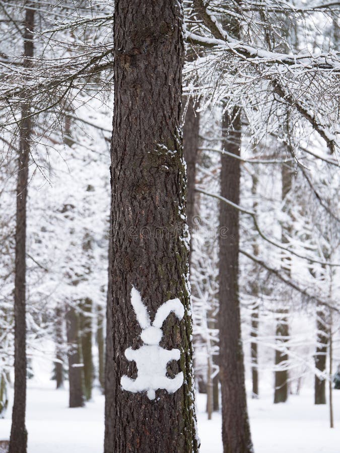 Hare silhouette of snow cleave to the bark of a tree