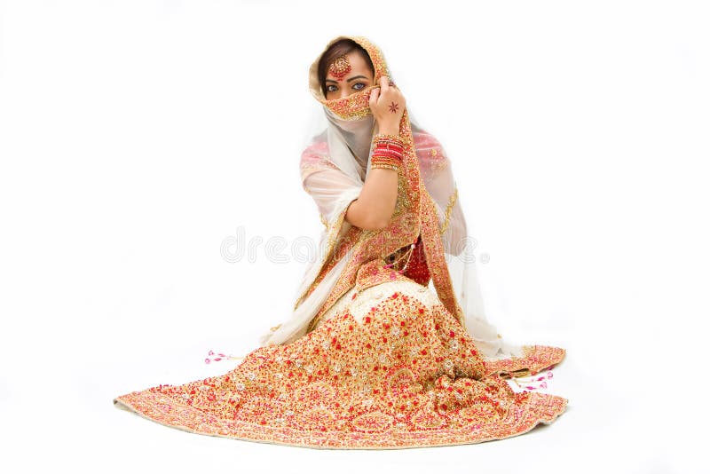 Beautiful harem girl or belly dancer or Hindu bride sitting, isolated