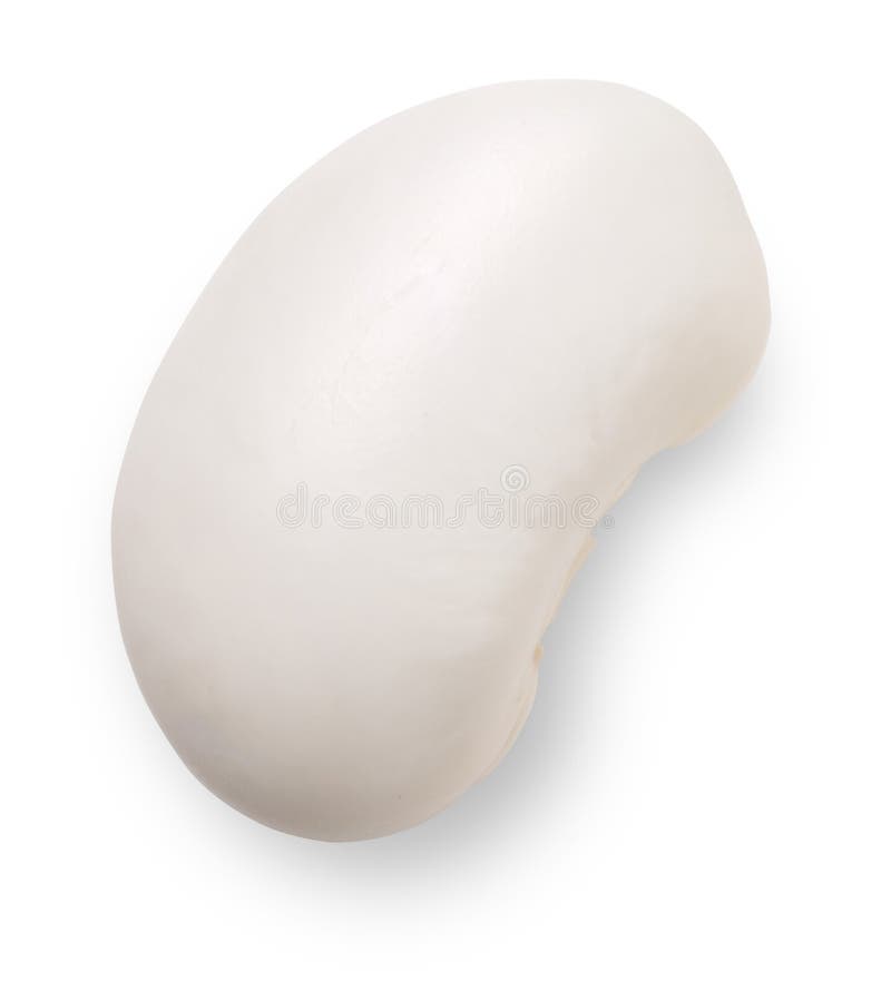 Haricot bean. stock images