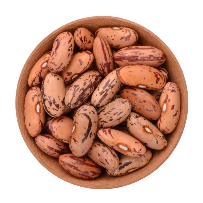 Haricot Bean on a White Background Stock Image Image of isolated