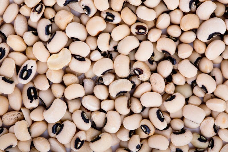 Black eyed beans stock photo. Image of healthy, food 23153426