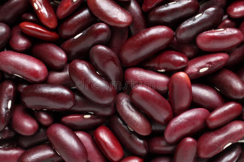 Canned red kidney beans stock photo. Image of isolated 23642398