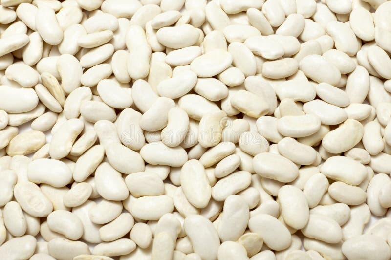 Haricot Beans Vegetable Grain Food Stock Photo Image of grains, bean 12571804