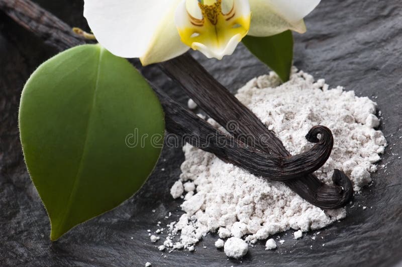 Haricots de vanille avec du sucre et la fleur aromatiques images libres de droits Haricots de vanille avec du sucre et la fleur aromatiques images libres de droits