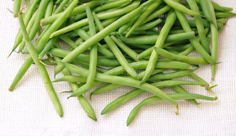 Haricots frais images stock Haricots frais images stock