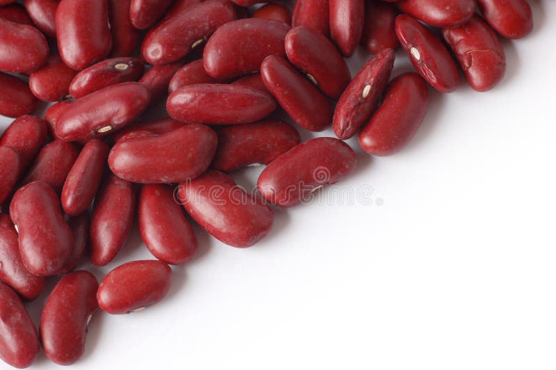 Red Kidney Beans isolated on white with copy space for text. Red Kidney Beans isolated on white with copy space for text.