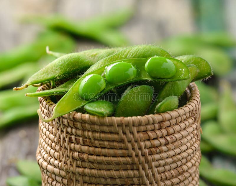 Haricots verts de soja dans le panier photo stock Haricots verts de soja dans le panier photo stock