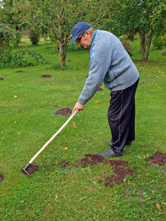 39+ inspirierend Bilder Garten Harke Set Line Garten