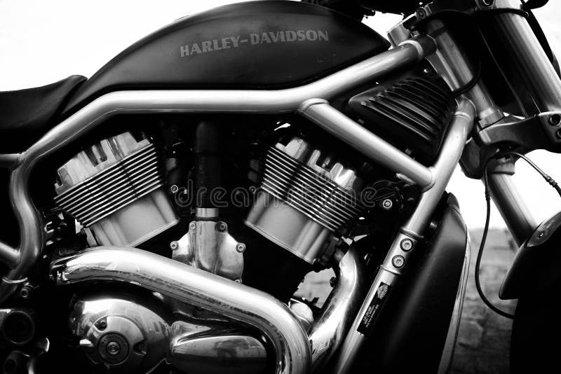 Harley-Davidson V-Rod, engine, V-twin. (June 3, 2019, Uzhhgorod)