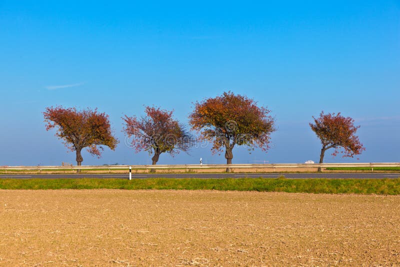 Harmonic group of trees