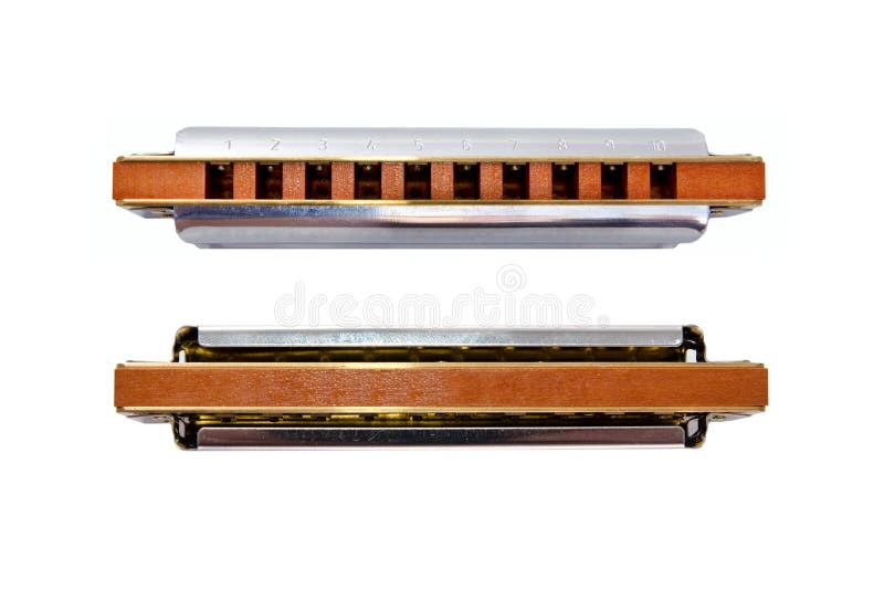 Harmonica isolated on a white background