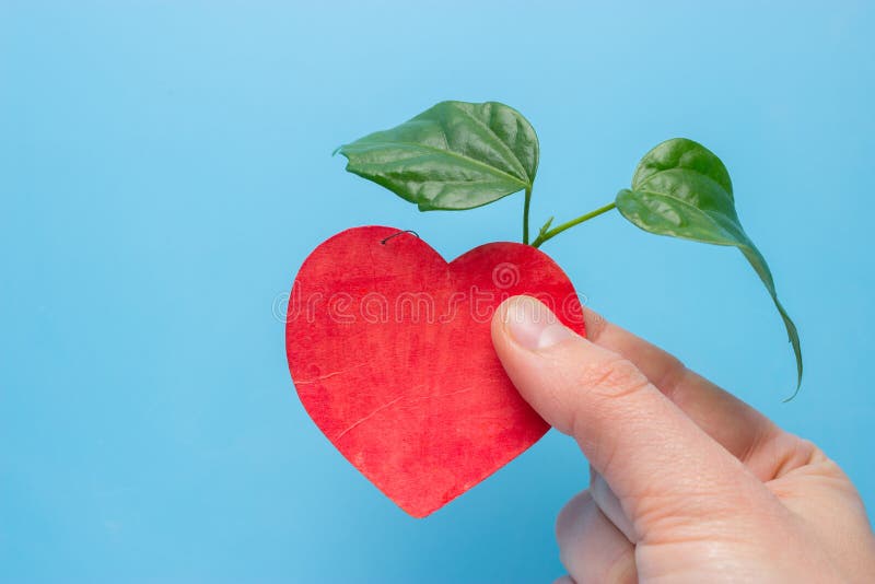 Harmony living environment, ecological friendly concept stock images