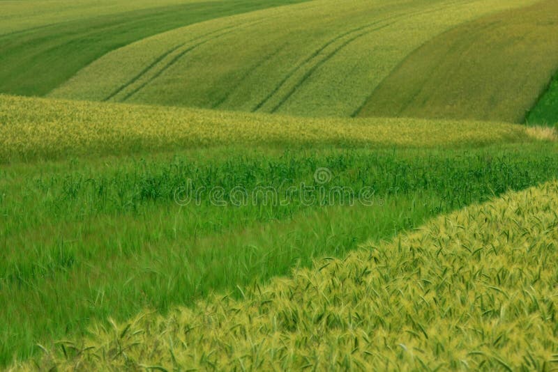 Harmony in nature stock photo. Image of country, crop - 18779180