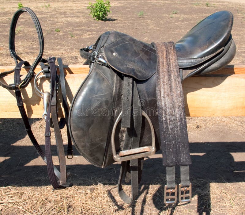 Harness stock photography