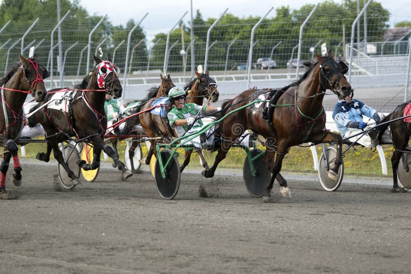 Pace horse 'Sippen Whiskey' pictured in centre wearing Number 5 is driven by Gord Brown in the second race at Kawartha Downs Race Track on July 9, 2016. He went on to win his race. Pace horse 'Sippen Whiskey' pictured in centre wearing Number 5 is driven by Gord Brown in the second race at Kawartha Downs Race Track on July 9, 2016. He went on to win his race.