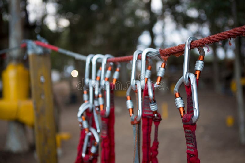 Harnesses Hanging Behind the Stalls of Belgian Horses Stock Photo