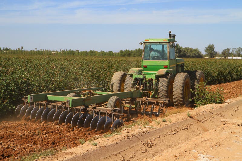 Harrowing katoenen gebieden in Arizona stock afbeelding Harrowing katoenen gebieden in Arizona stock afbeelding