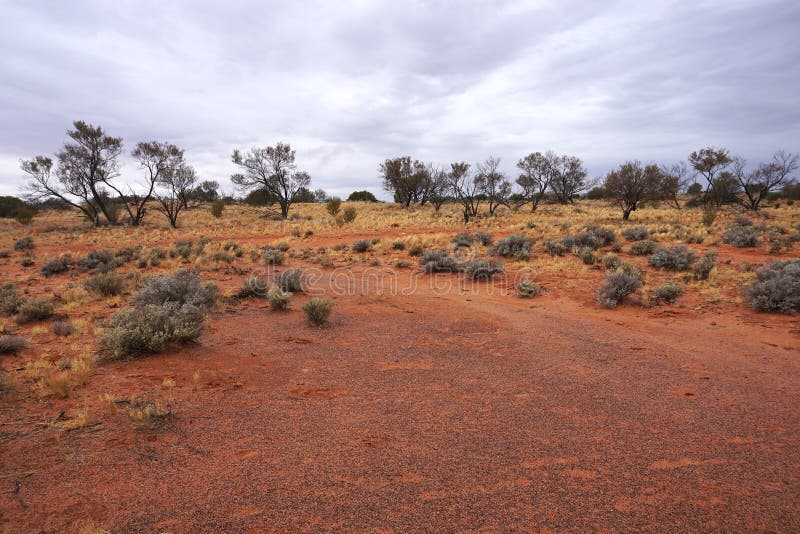 harsh-arid-zone-outback-australia-roxby-downs-mining-town-hour-drive-adelaide-south-lands-roxy-106246946.jpg