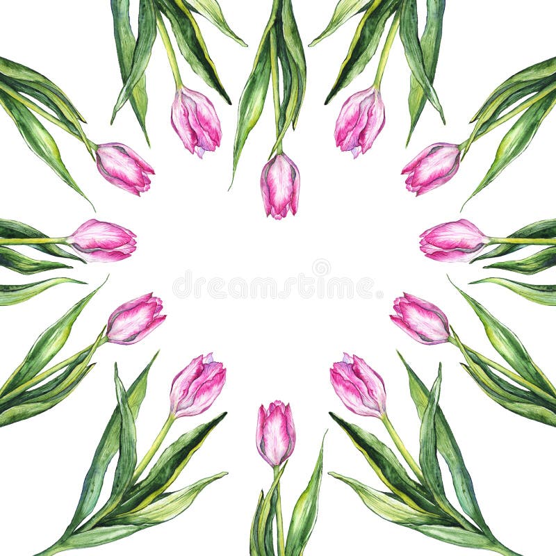 Hart van de de bloemaard van de waterverf gaf het roze tulp geïsoleerd grenskader gestalte vector illustratie Hart van de de bloemaard van de waterverf gaf het roze tulp geïsoleerd grenskader gestalte vector illustratie