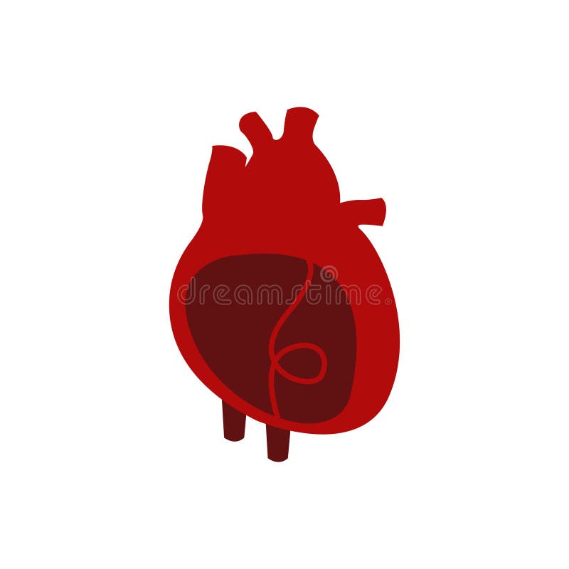 Hartorgaan geïsoleerde vectorillustratie stock illustratie