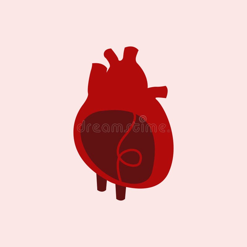 Hartorgaan geïsoleerde vectorillustratie royalty-vrije illustratie