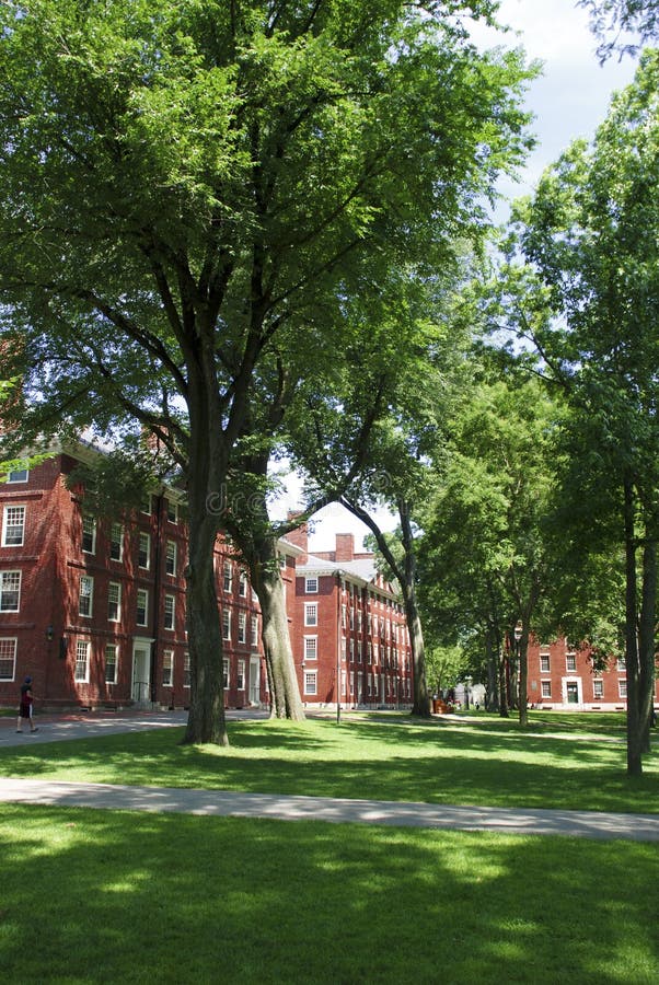 Harvard University Campus in Boston, MA