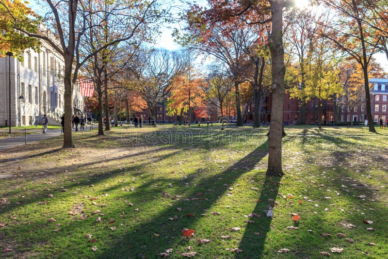 Harvard Yard royalty free stock images Harvard Yard royalty free stock images
