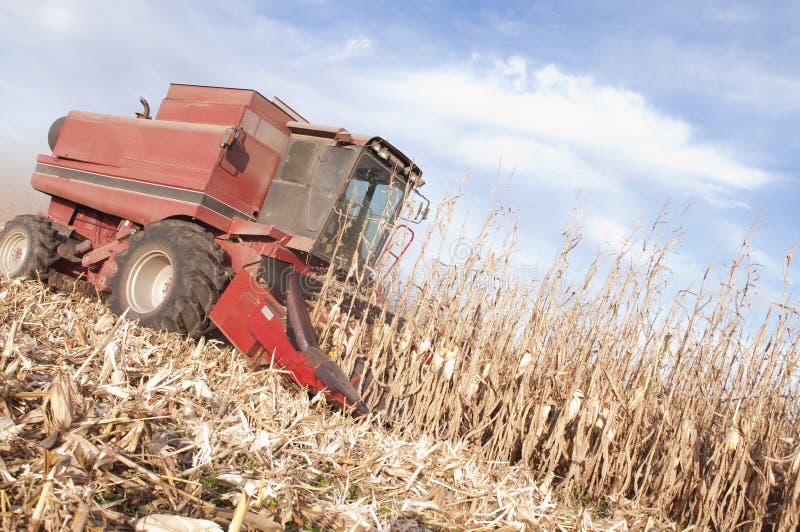 Harvest stock photo. Image of cultivation, farmer, fodder 16819472