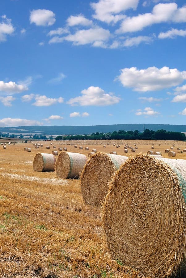 Prairie Harvest stock image. Image of grainaries, produce - 3289271