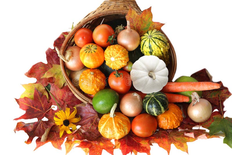 Cornucopia stock image. Image of nourishment, turkey, harvest - 23173
