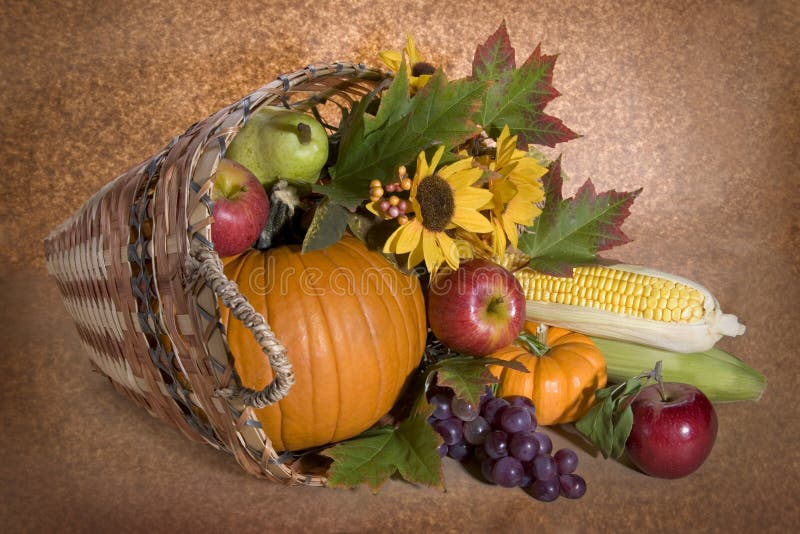 Harvest basket