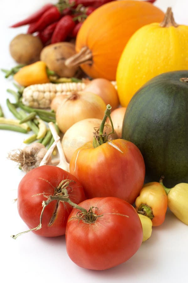 Harvest. Fresh ripe vegetables