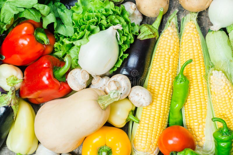 Harvest of Fresh Vegetables Stock Photo Image of organic, design