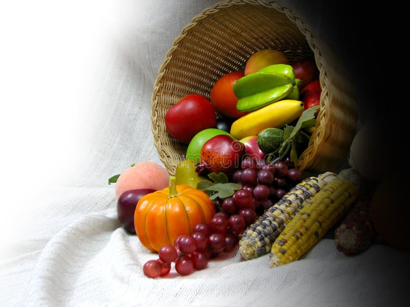 Harvest Fruits Royalty Free Stock Image Image 4795166
