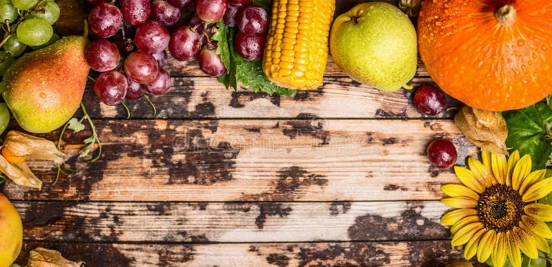 Harvest fruits with grapes,pumkin and sunflowers on a rustic wooden background, banner for website stock photo Harvest fruits with grapes,pumkin and sunflowers on a rustic wooden background, banner for website stock photo