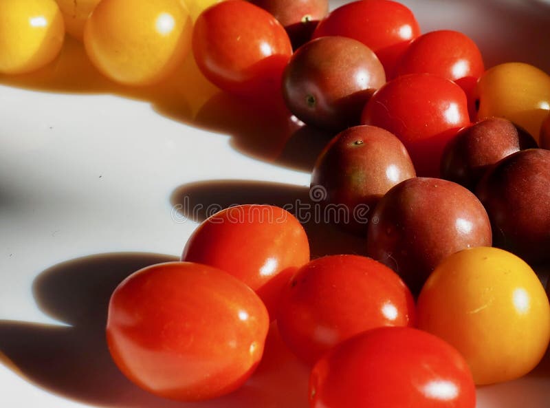 Different Varieties of Cherry Tomatoes Stock Photo Image of harvest