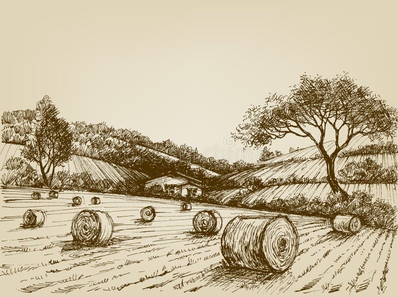 Harvest landscape