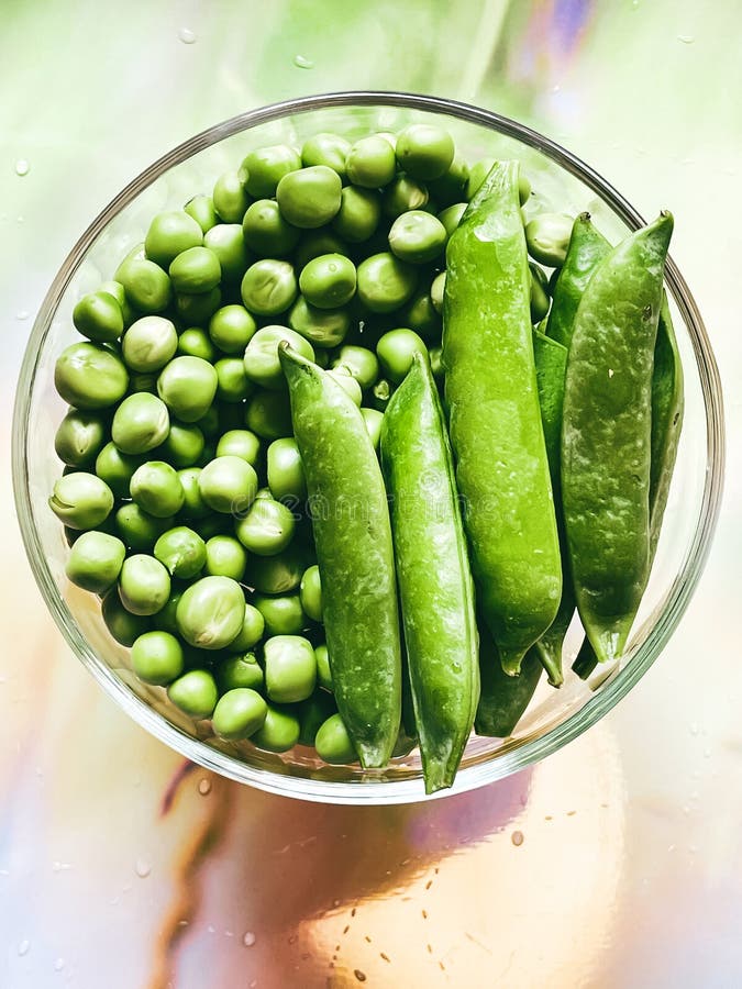 Harvest Organic Vegetables Green Peas Stock Photo Image of dinner