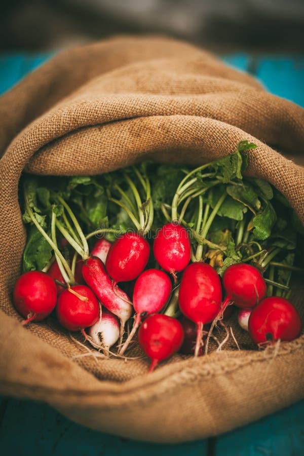 Harvest of radishes stock image. Image of home, nature 87963719