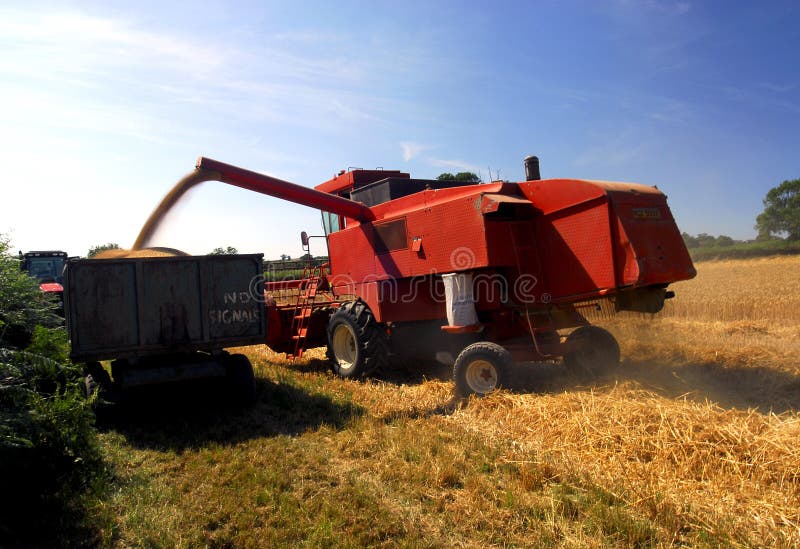 Harvest time