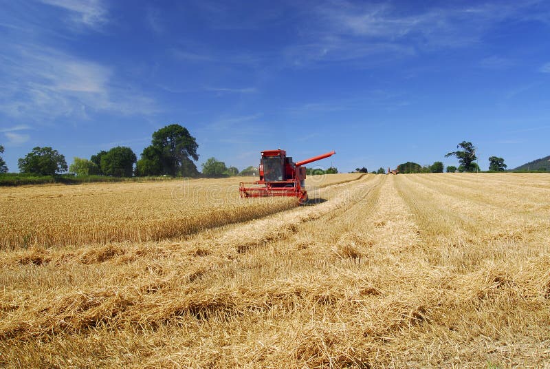 64,964 Harvest Time Stock Photos Free & RoyaltyFree Stock Photos from Dreamstime