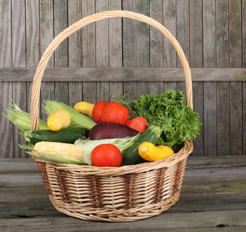 Harvest Vegetables