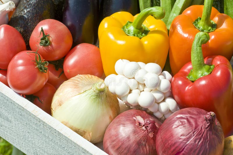 Harvest of vegetables stock image. Image of pepper, plant 32809619